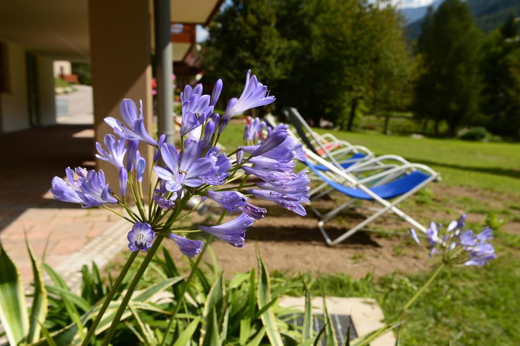 La Casa Al Noce Aparthotel Mezzana  Room photo